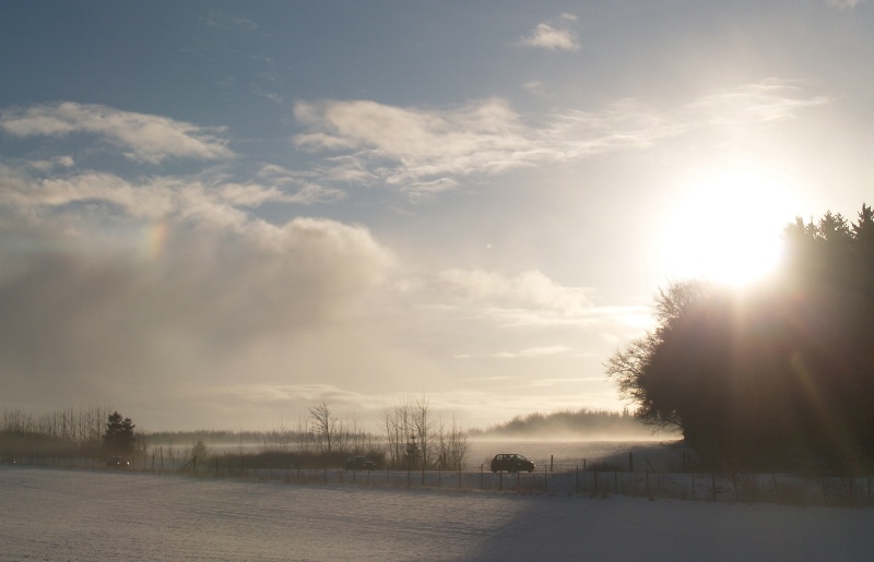 Freezing fog and sun reflections in the winter