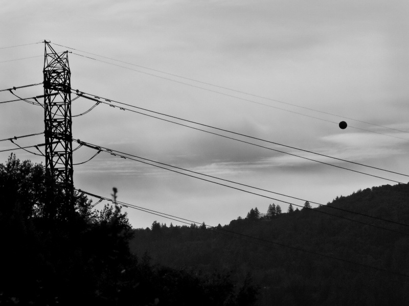 wires p1080005