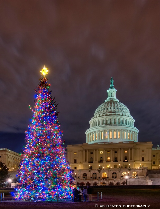 National Christmas Tree