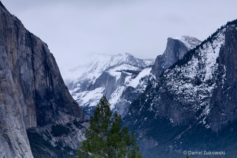 Gray Yosemite