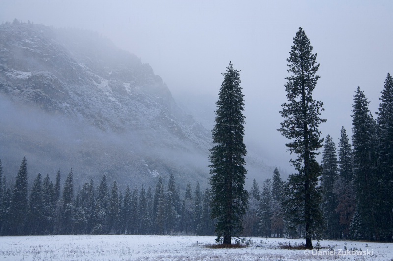 Snow in the Meadow, Yosemite Valley