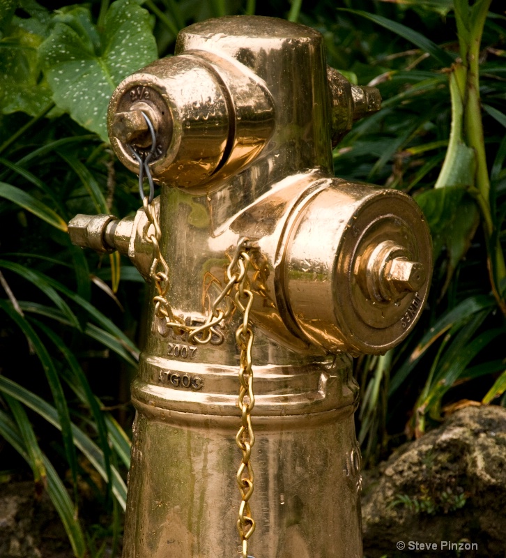 The legendary gold hydrant: no dog has seen it - ID: 9614742 © Steve Pinzon