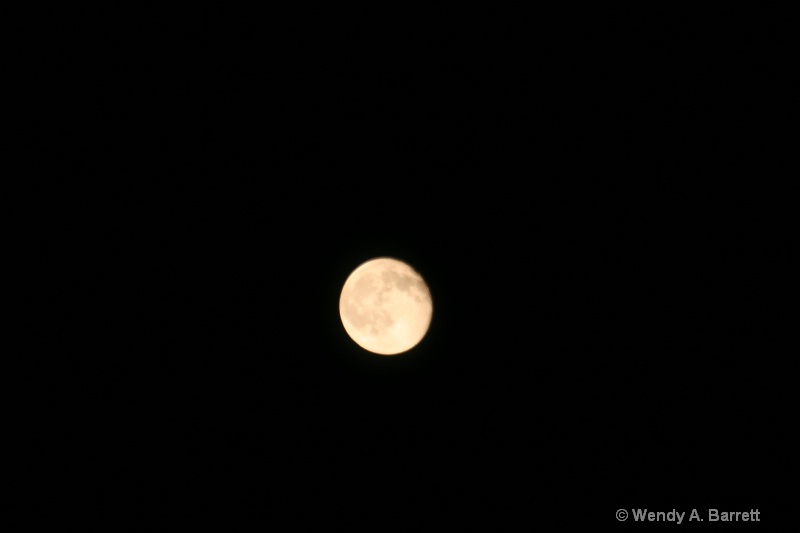 Pretty moon - ID: 9617509 © Wendy A. Barrett