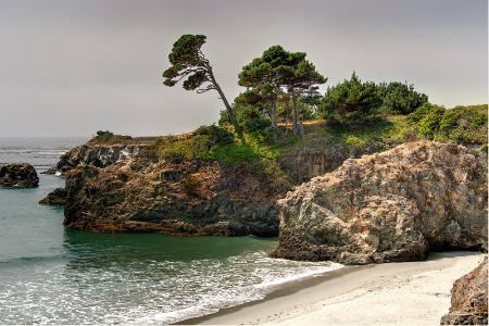 Northern California Coastline