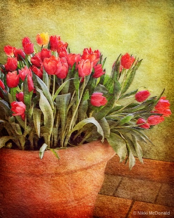 Tulip Tumble #2