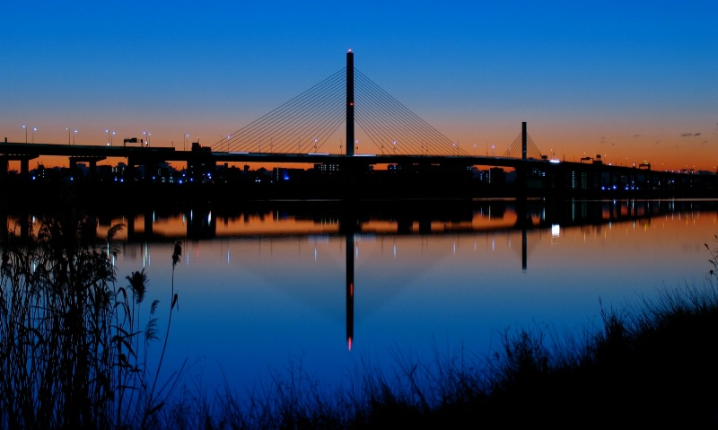 Pre Dawn 2010