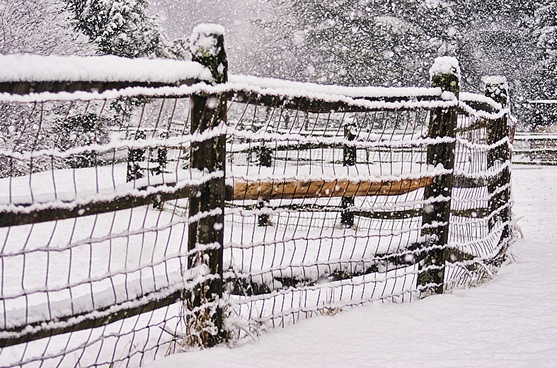 Following the Fence - ID: 9619203 © Laurie Daily