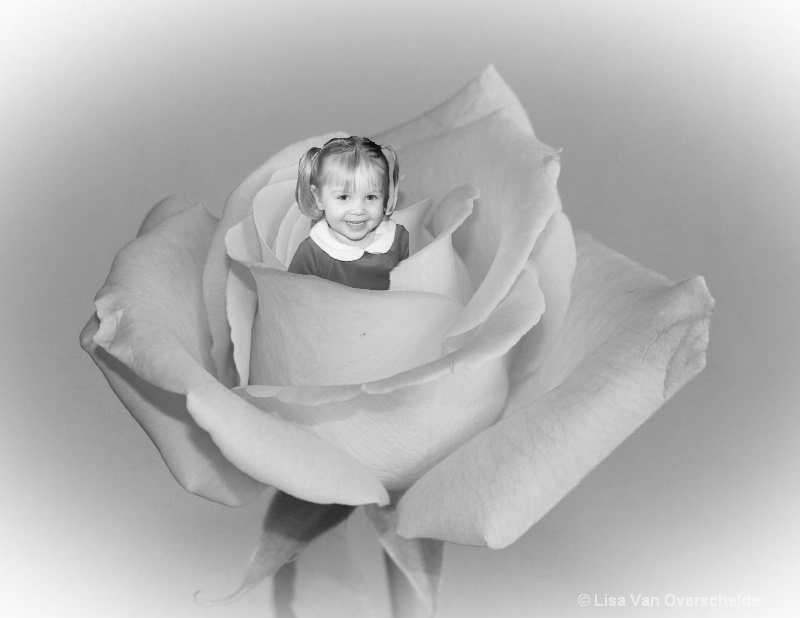 baby in a rose