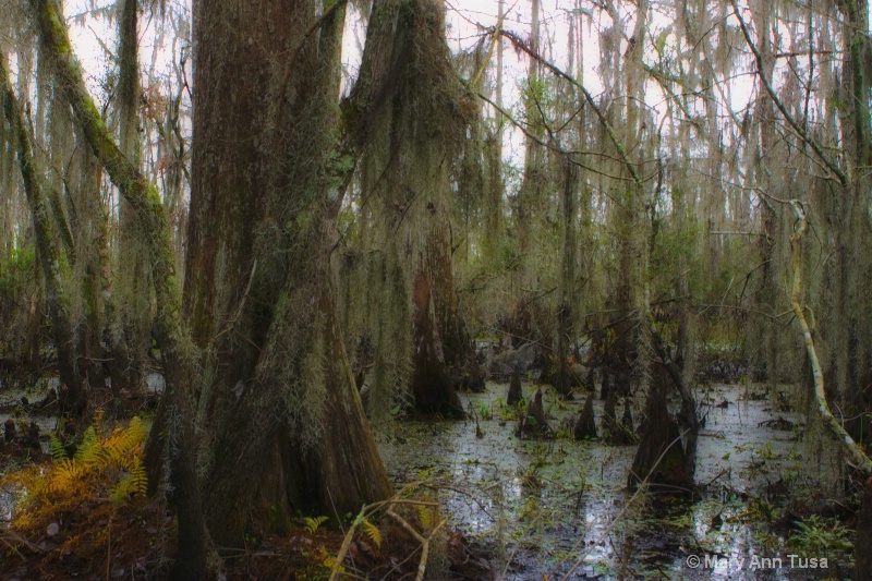 swamp.j.lafite
