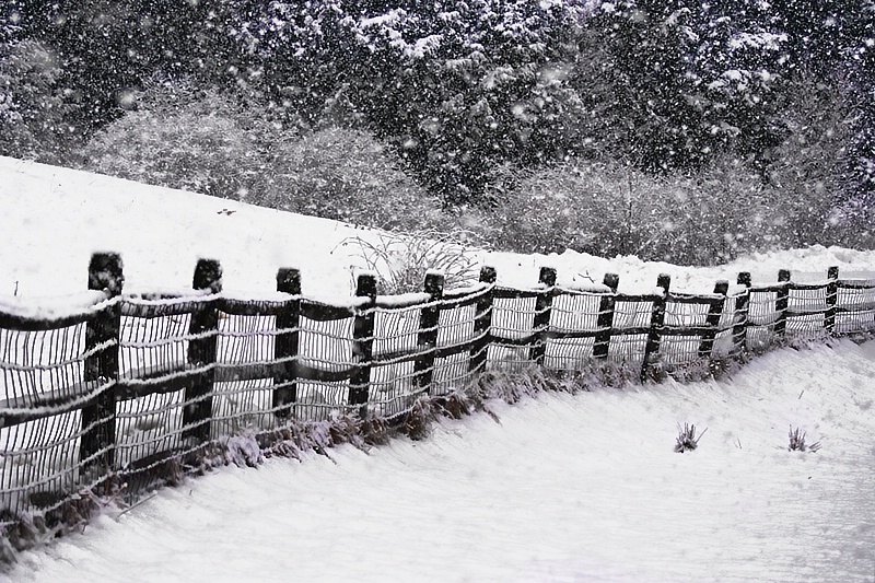 Fence at Stonewall Farm - ID: 9629437 © Laurie Daily