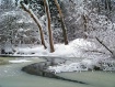 January River