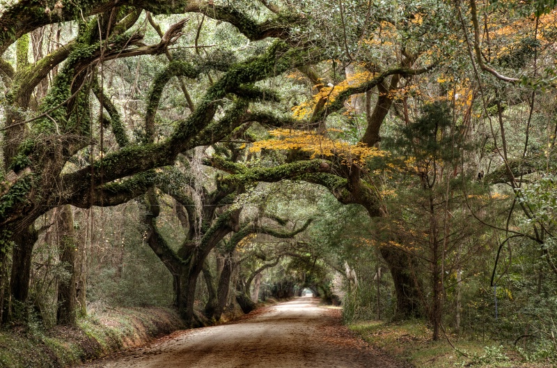 Wilderness Arch II