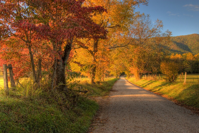 Autumn Light and Shadows - ID: 9638550 © Robert A. Burns