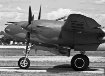 P-38 Oshkosh 2008