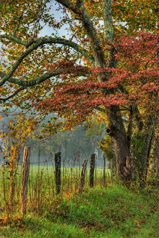 Sparks Lane in Morning Light - ID: 9640778 © Robert A. Burns