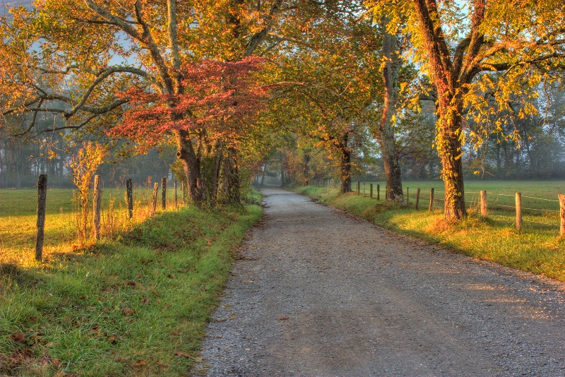 Cades Cove 10-11-08 - ID: 9640881 © Robert A. Burns