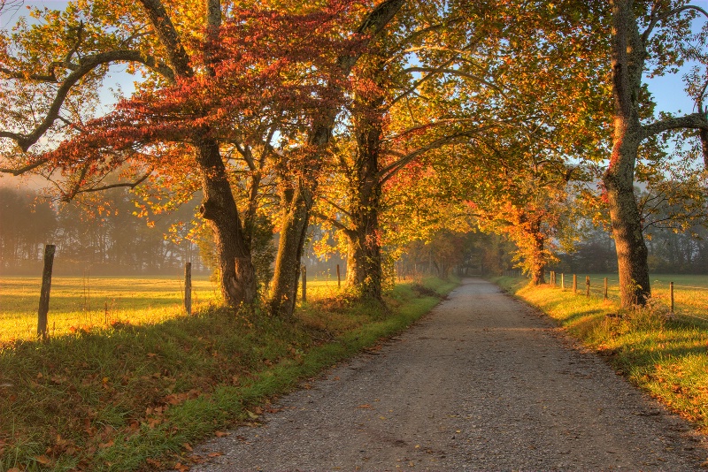 Autumn Morning at Cades Cove - ID: 9640893 © Robert A. Burns