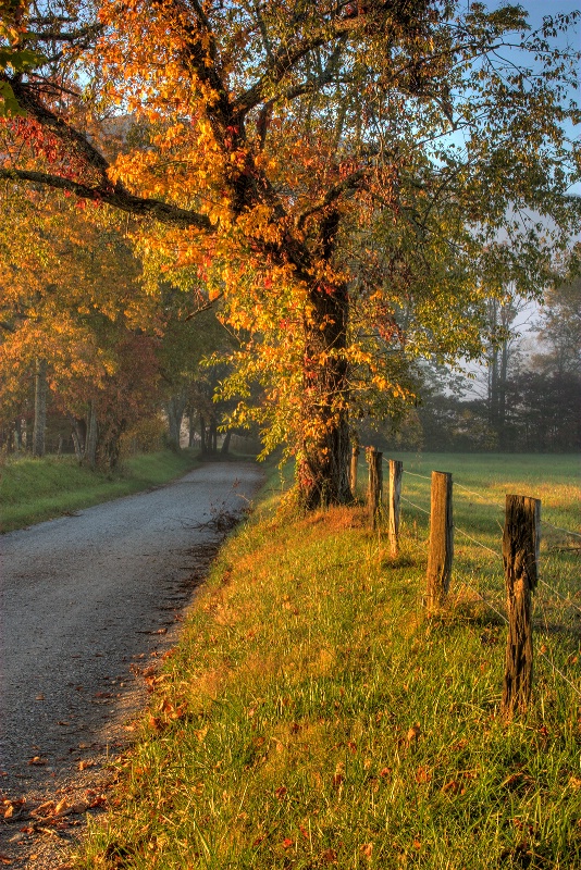 Cades Cove 10-11-08 - ID: 9640963 © Robert A. Burns