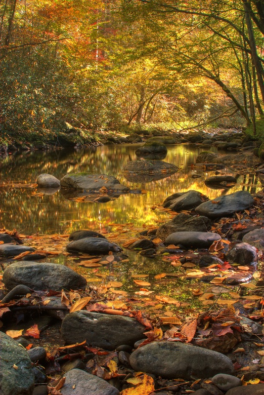 Smoky Mountains N.P. 10-12-08 - ID: 9643259 © Robert A. Burns