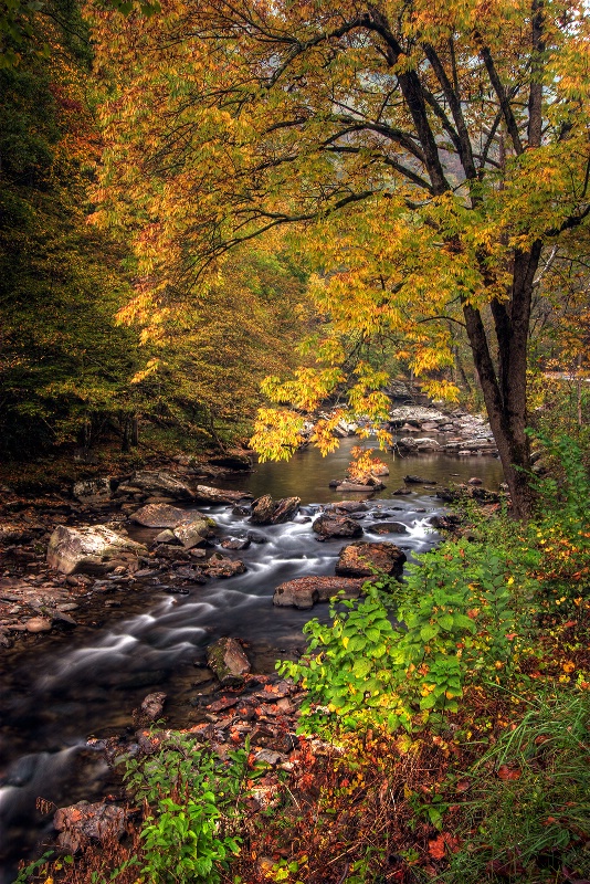 Mountain Stream in Autumn - ID: 9643442 © Robert A. Burns