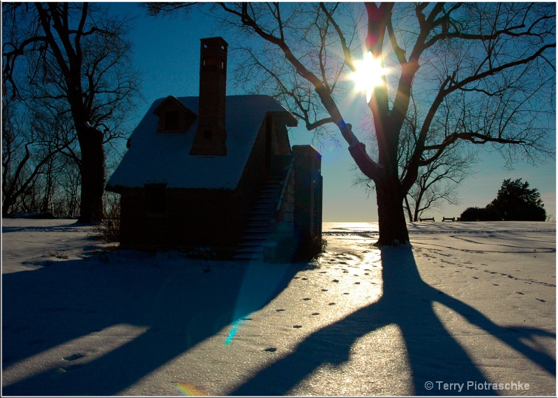 Winter Shadows - ID: 9645559 © Terry Piotraschke