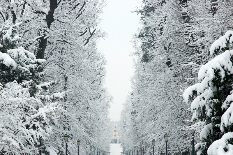 Snow in Maksimir