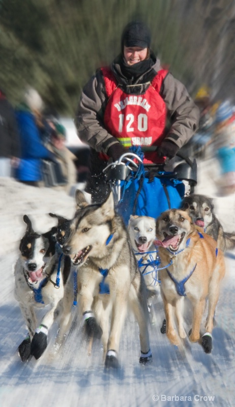 John Beargrease Dog Sled Race