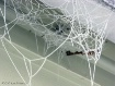 Frozen Web