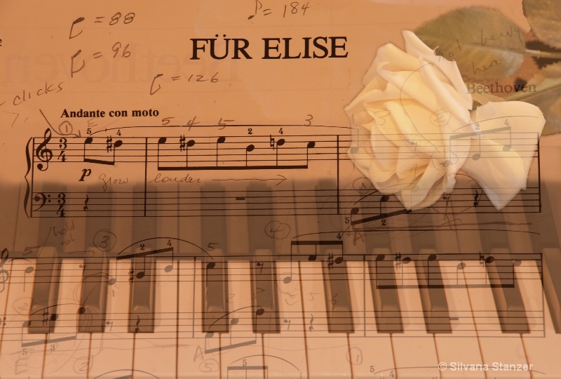 Fuer Elise