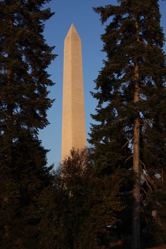 Washington Monument Framed