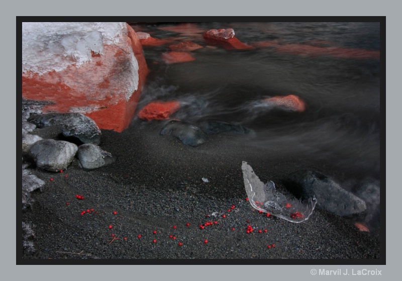 Red Berries and Ice