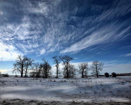 Winter Twilight