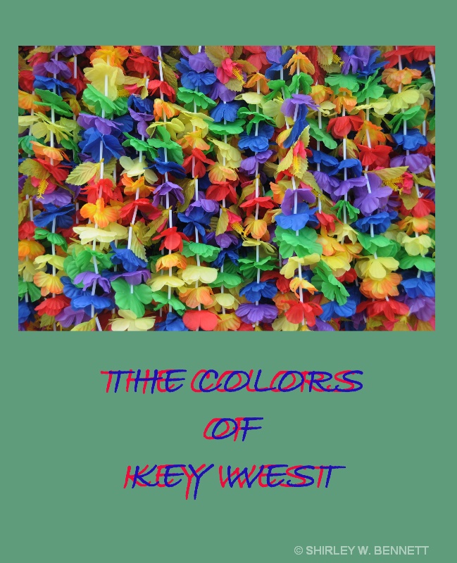 VIBRANT COLORS OF KEY WEST - ID: 9661772 © SHIRLEY MARGUERITE W. BENNETT