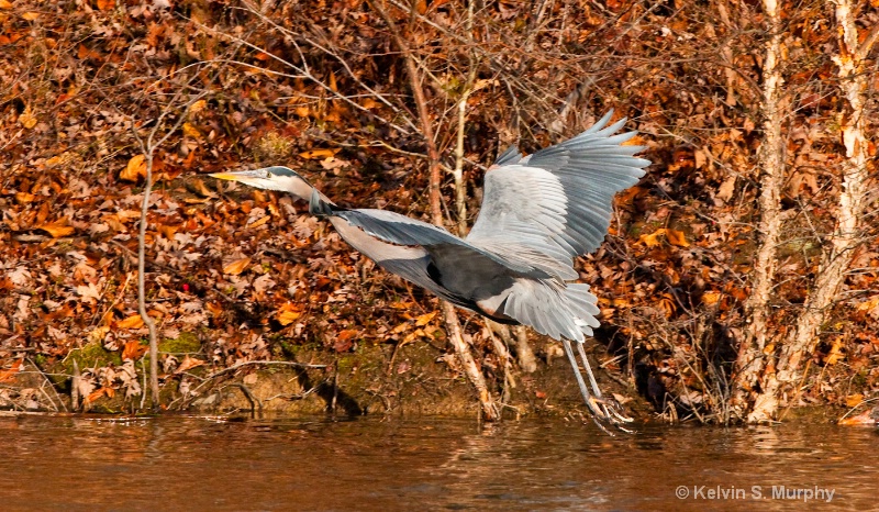 Coming in for a landing 