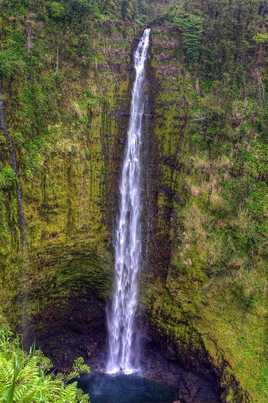 Akaka Falls - Big Island Hawaii - ID: 9667471 © Jeff Robinson