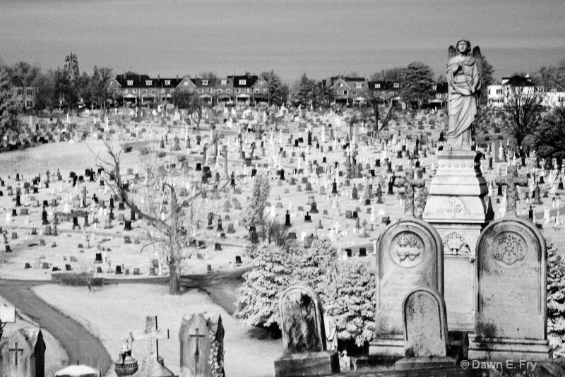 Baltimore Md Cemetery in Infrared