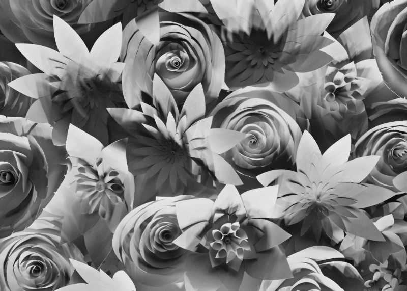 Paper  Flowers