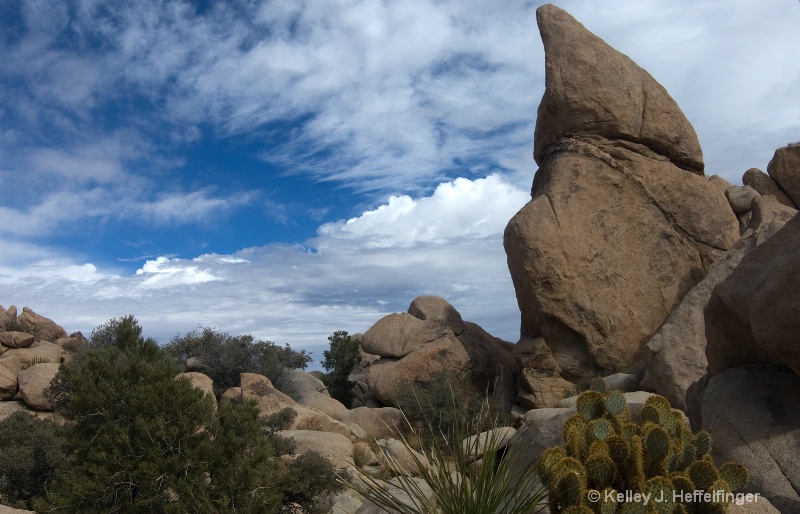 Elf's View - ID: 9674090 © Kelley J. Heffelfinger