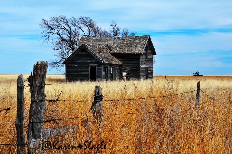 Lonesome Prairie