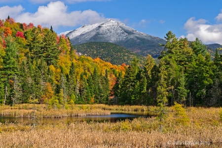 Whiteface Mtn from Little Cherry Patch Pond