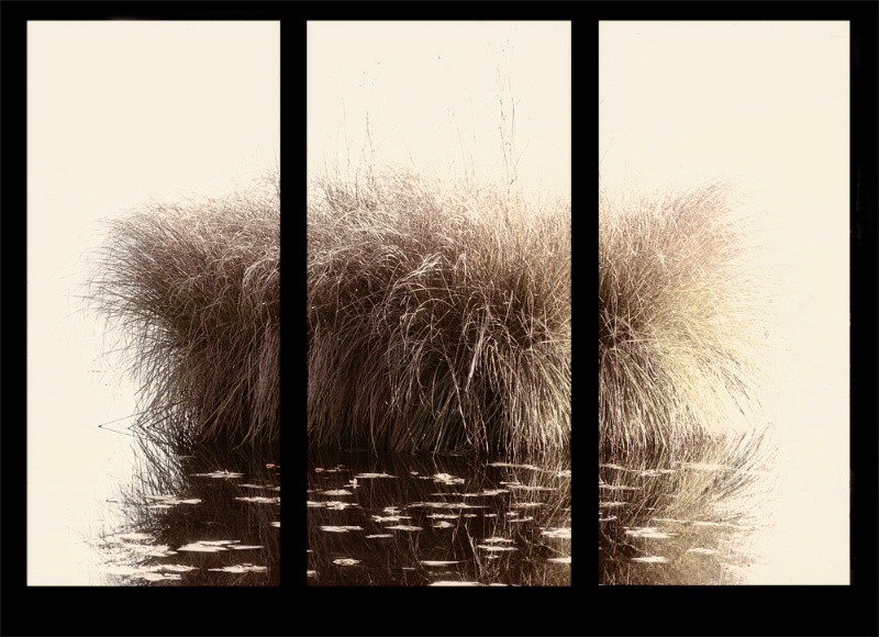 Triptych grass
