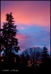 Morning has broke...