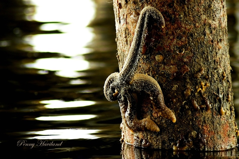 Waiting For The Tide