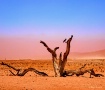 Sandstorm Rising