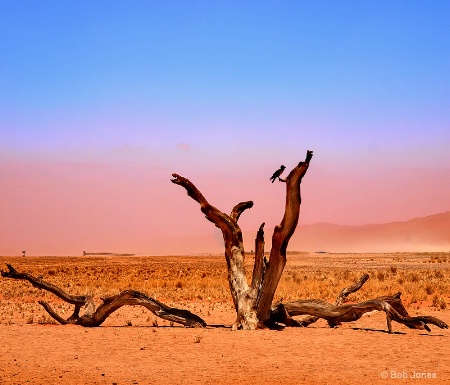 Sandstorm Rising