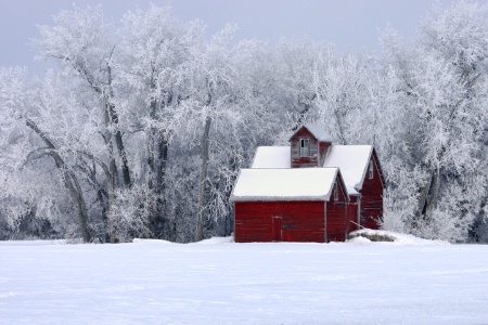 Red Barn