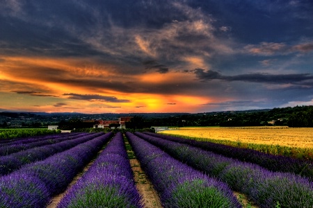 Heart Of Provence 