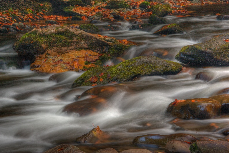 Mountain Stream and Fallen Leaves - ID: 9685695 © Robert A. Burns