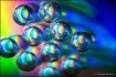 "Happy bubble...