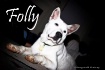 ~ FOLLY ~